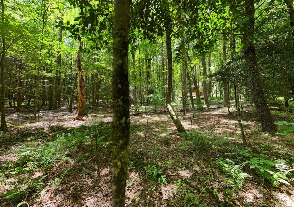 550 Watson Road Epworth, GA 30541 - Photo 56 of 63 a view of outdoor space with trees