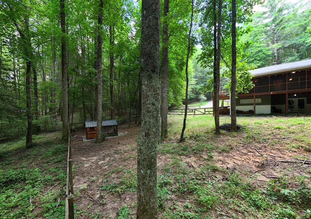 550 Watson Road Epworth, GA 30541 - Photo 57 of 63 a view of a house with a backyard
