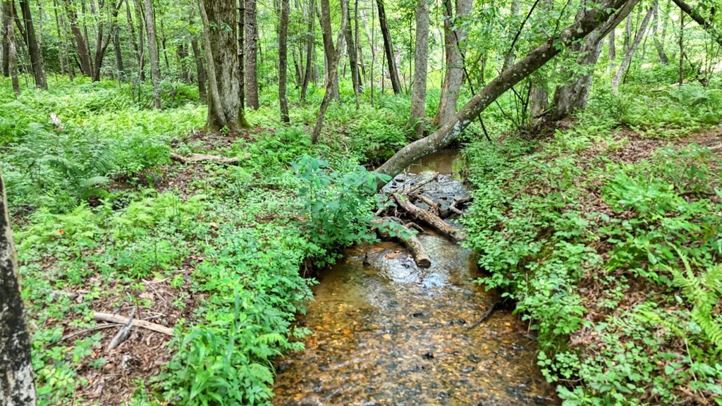 550 Watson Road Epworth, GA 30541 - Photo 58 of 63 a plant view in yard