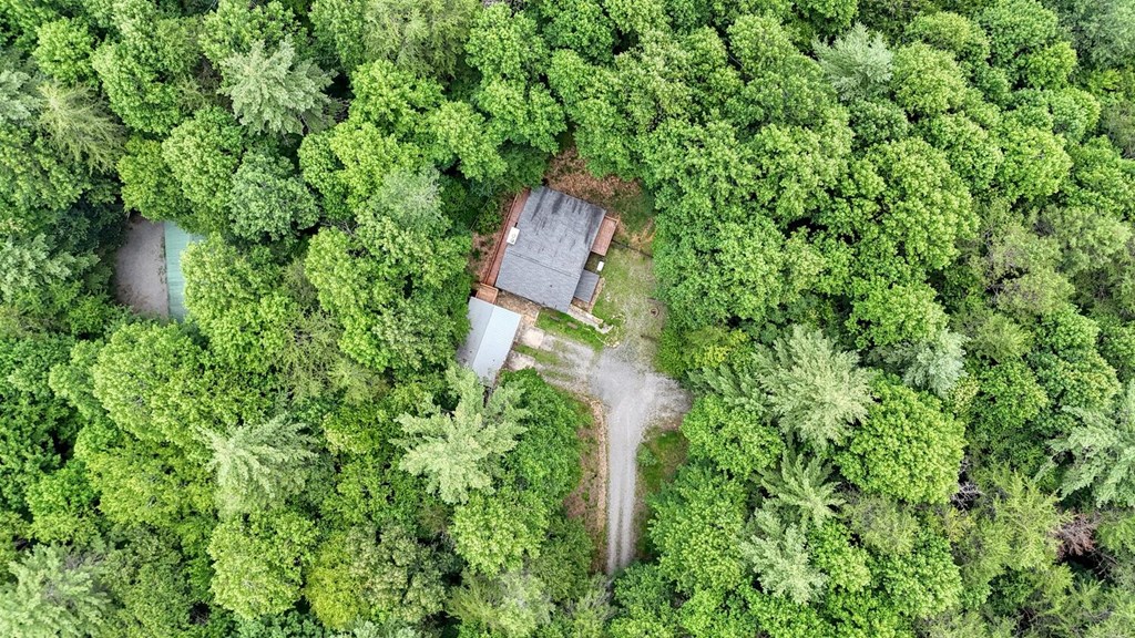 550 Watson Road Epworth, GA 30541 - Photo 60 of 63