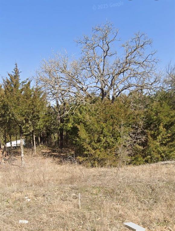 a view of outdoor space and a yard