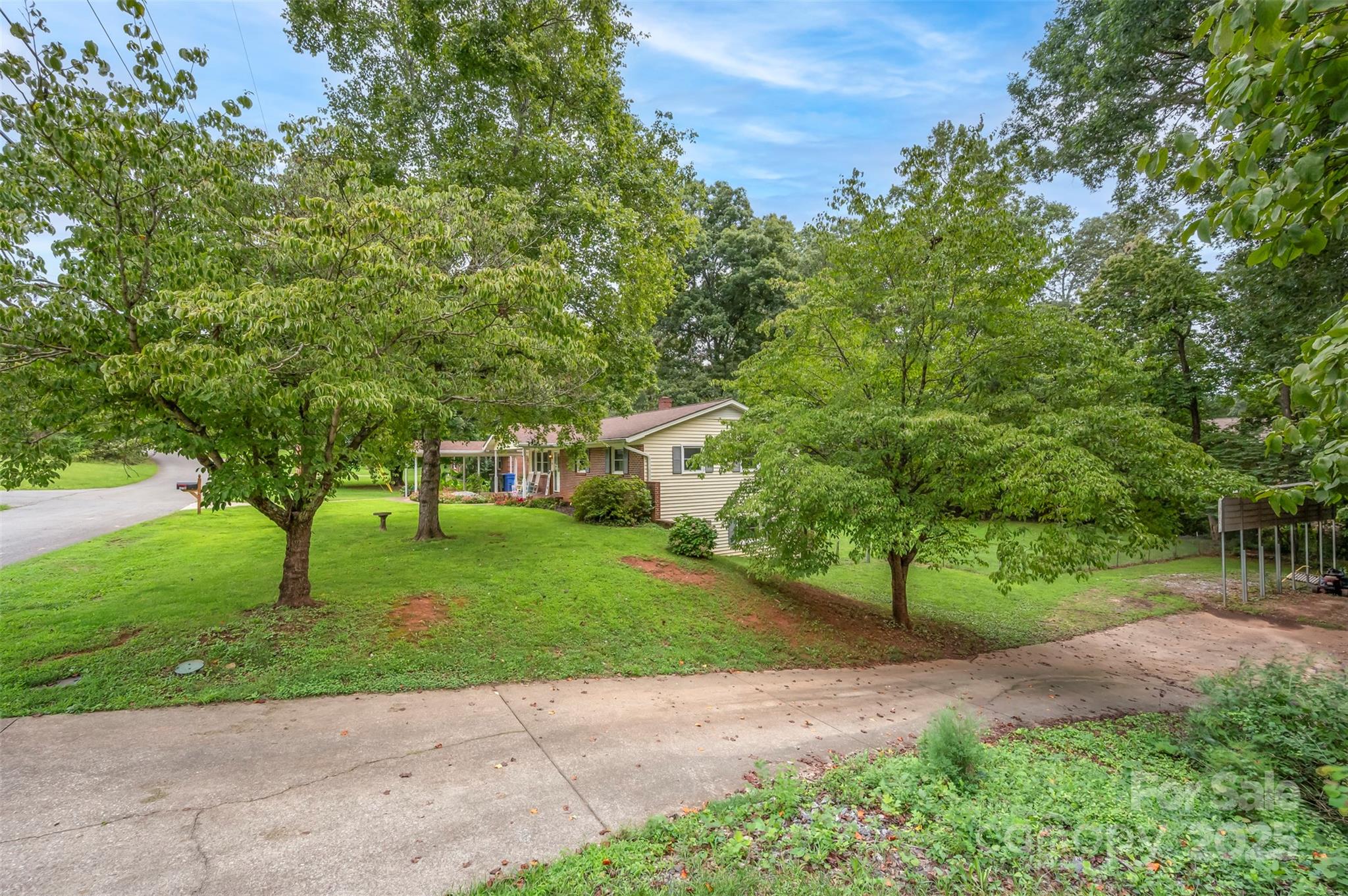 170 Hodge Street Rutherfordton, NC 28139 - Photo 42 of 48 a view of a park with a trees and plants