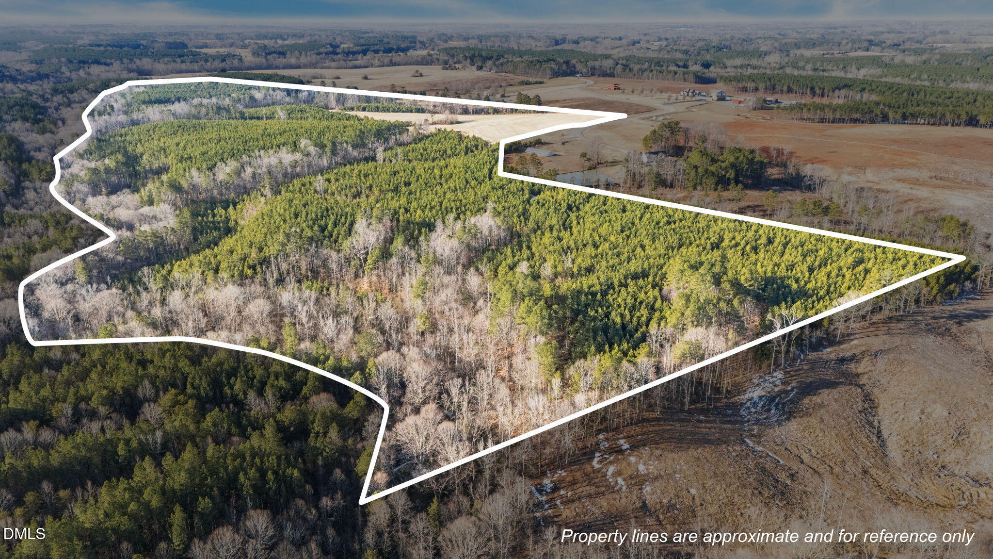 0 Callis Road South Hill, VA 23970 - Photo 1 of 11 Primary