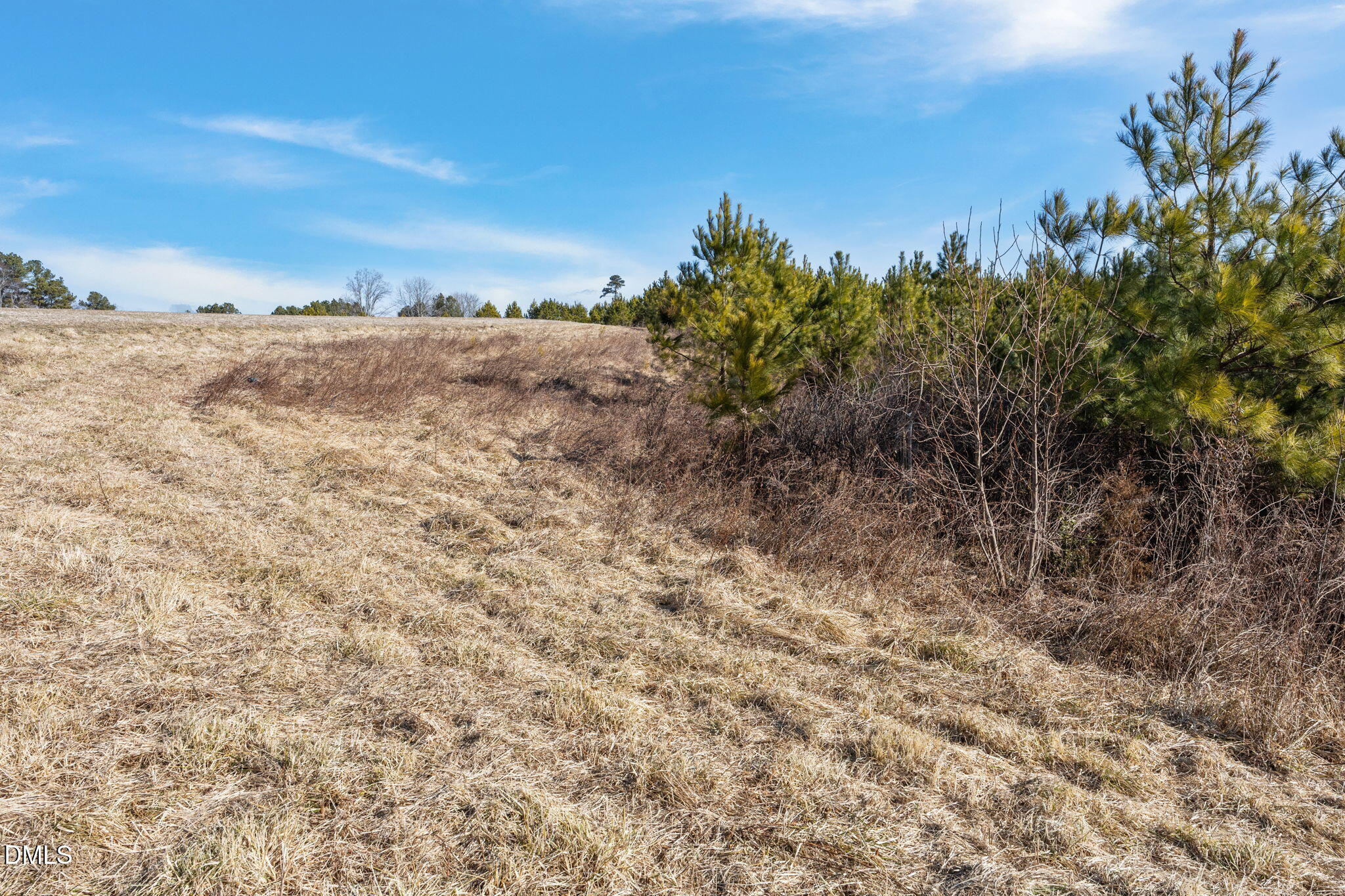 0 Callis Road South Hill, VA 23970 - Photo 6 of 11 7-web-or-mls-06-IMG_1699