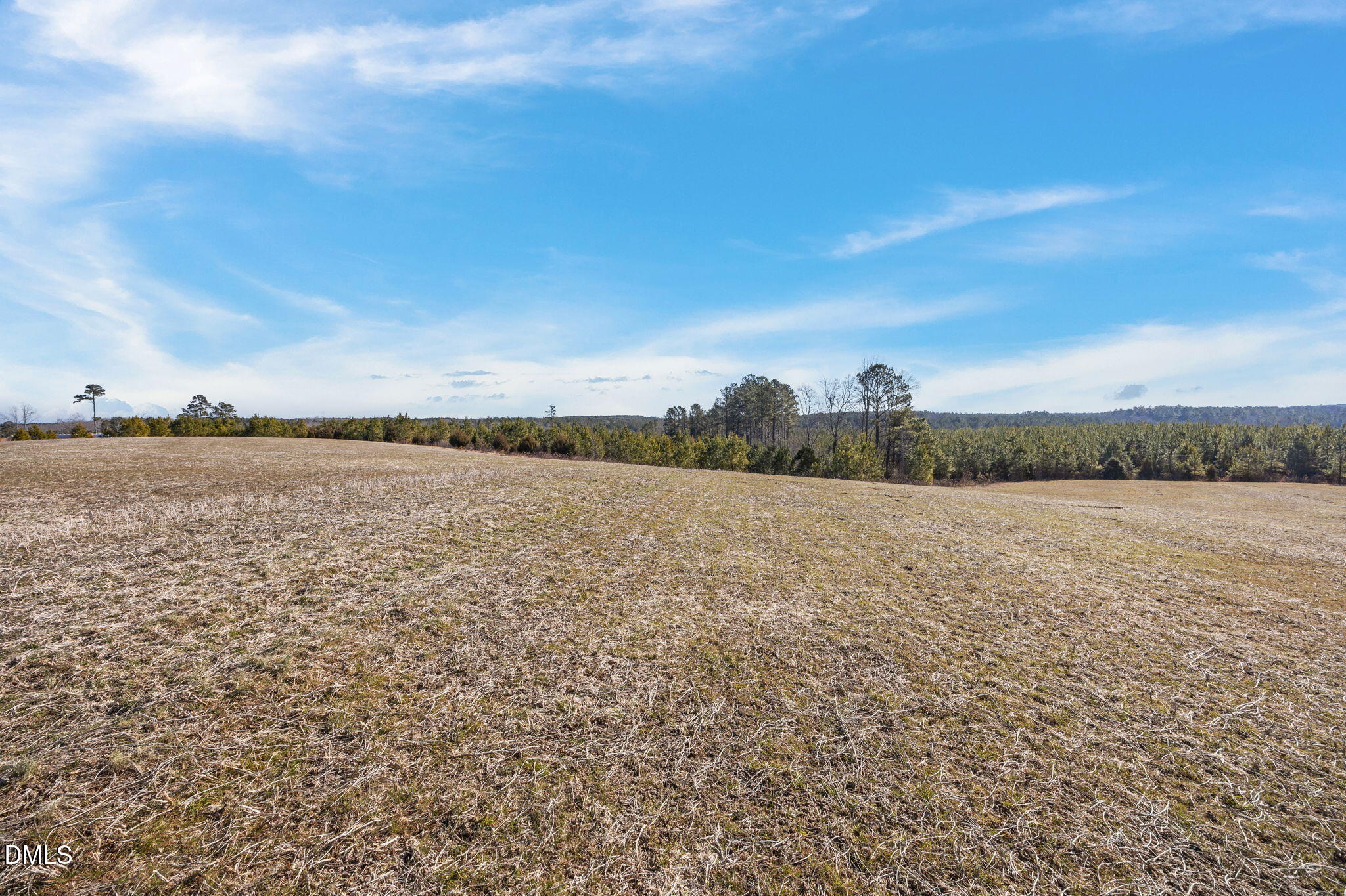 0 Callis Road South Hill, VA 23970 - Photo 8 of 11 8-web-or-mls-07-IMG_1711