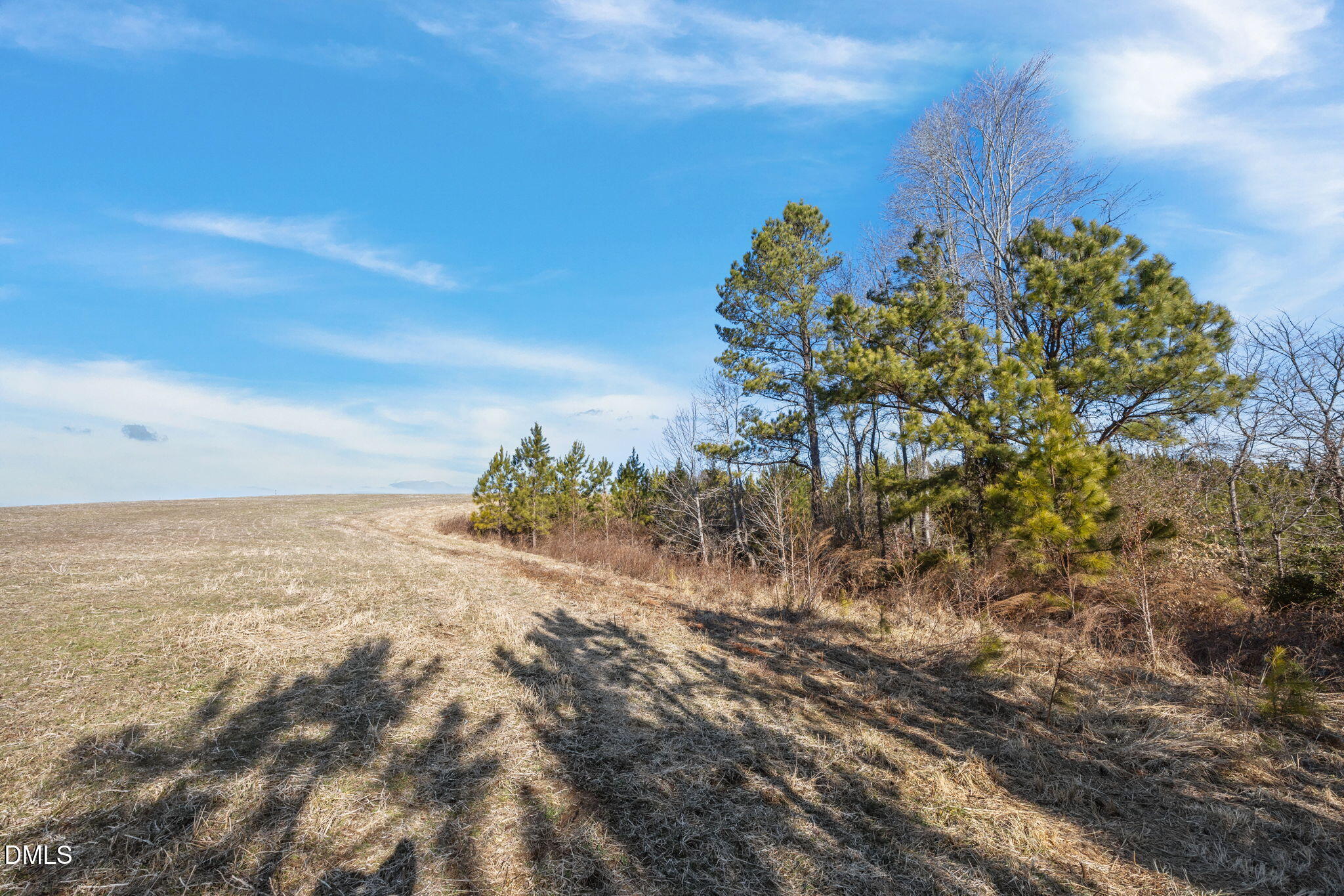 0 Callis Road South Hill, VA 23970 - Photo 9 of 11 9-web-or-mls-08-IMG_1708