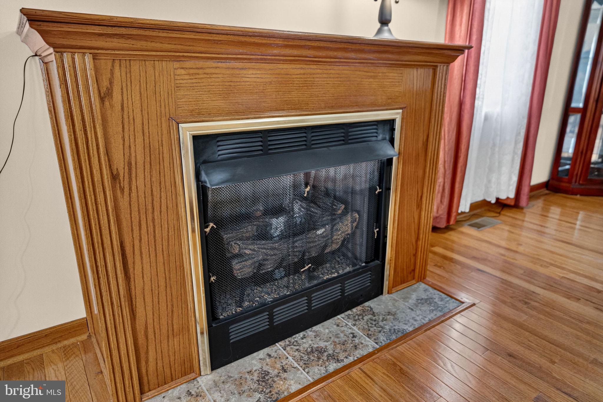 6315 Ida Road Stanley, VA 22851 - Photo 37 of 83 Fireplace in Living Room