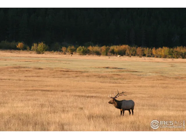 a childrens park with lots of swings and slides
