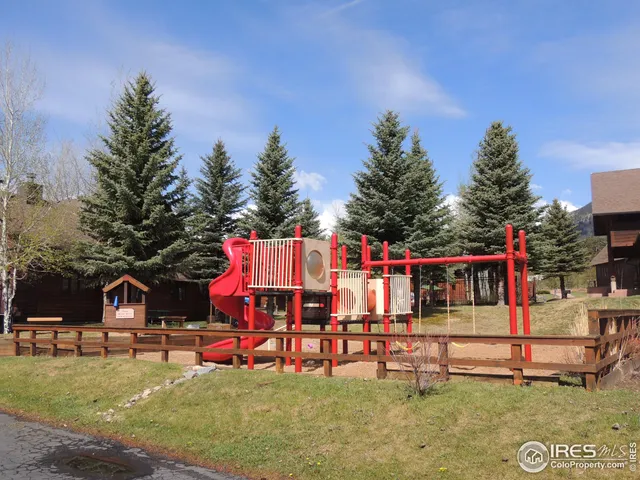 a view of a dry tree