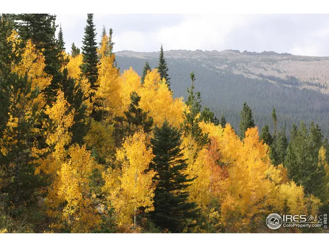 $13,500 | 1565 Highway 66, Unit 33, Estes Park, CO 80517