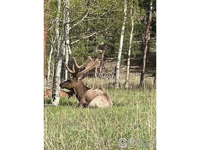 a fireplace with stainless steel appliances