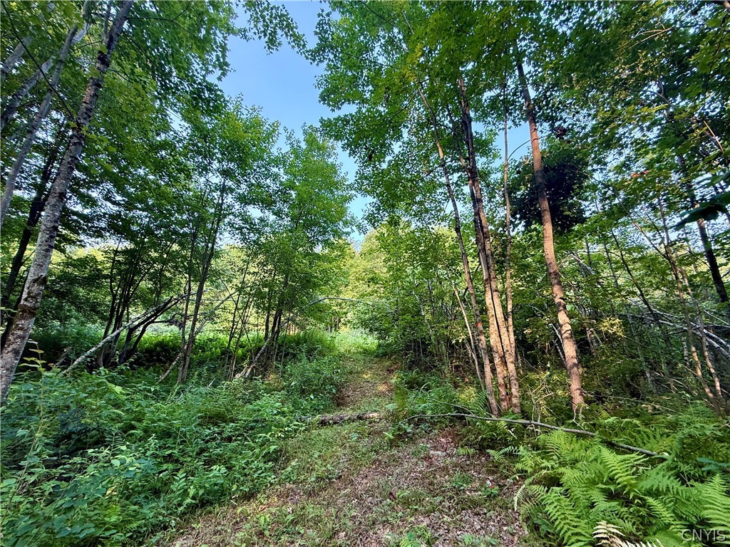 11470 River Road Florence, NY 13316 - Photo 5 of 13