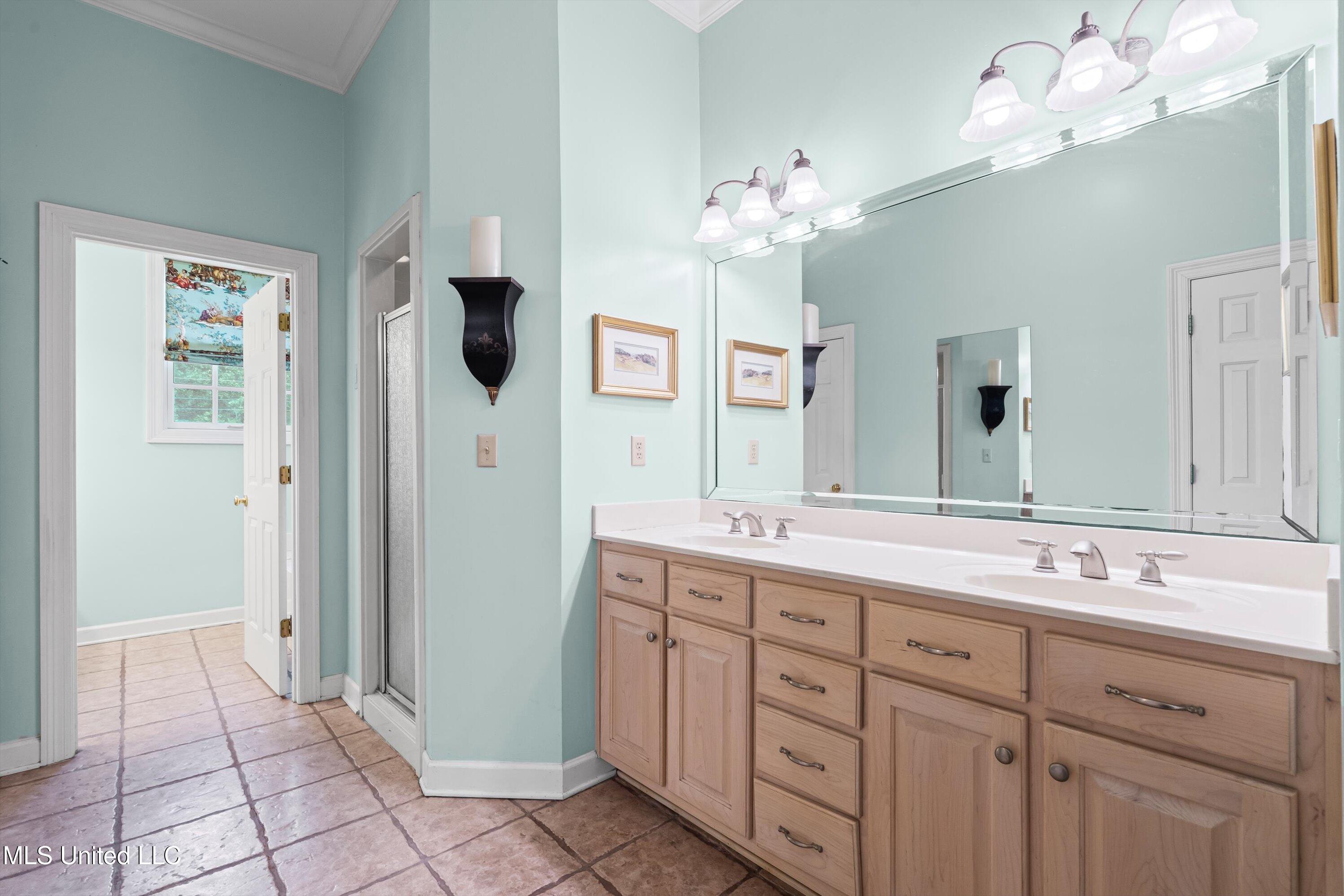 193 Crockett Loop Hernando, MS 38632 - Photo 27 of 64 27-Primary Bathroom