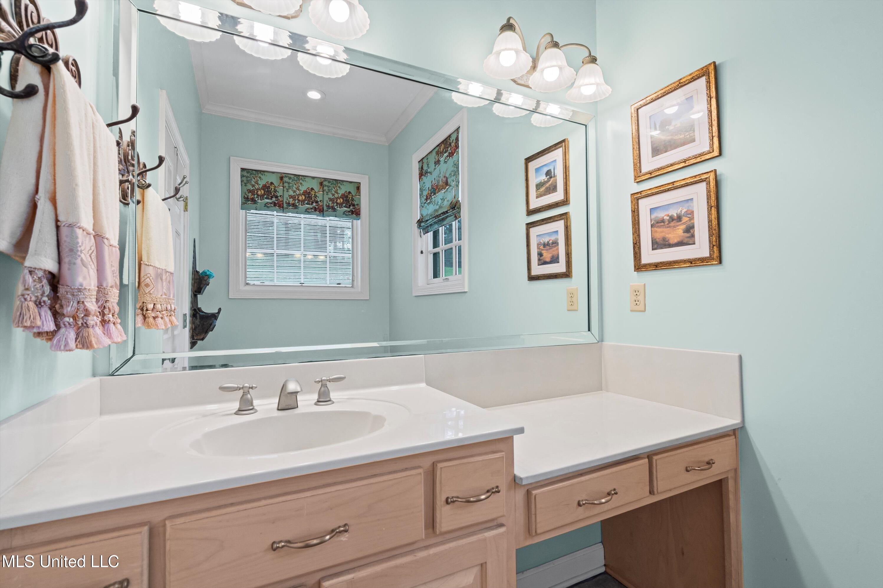 193 Crockett Loop Hernando, MS 38632 - Photo 28 of 64 28-Primary Bathroom