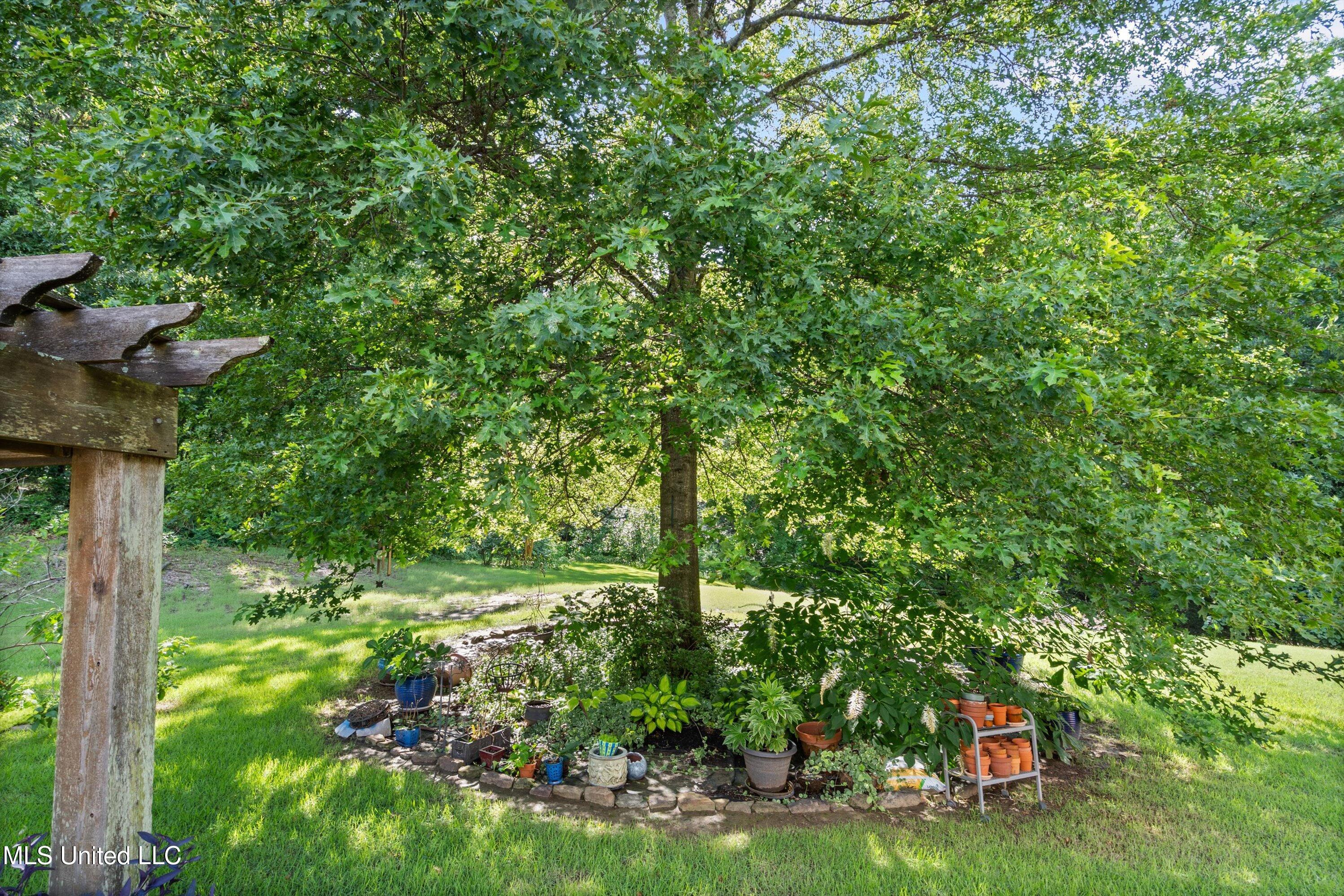 193 Crockett Loop Hernando, MS 38632 - Photo 53 of 64 53-Back Yard