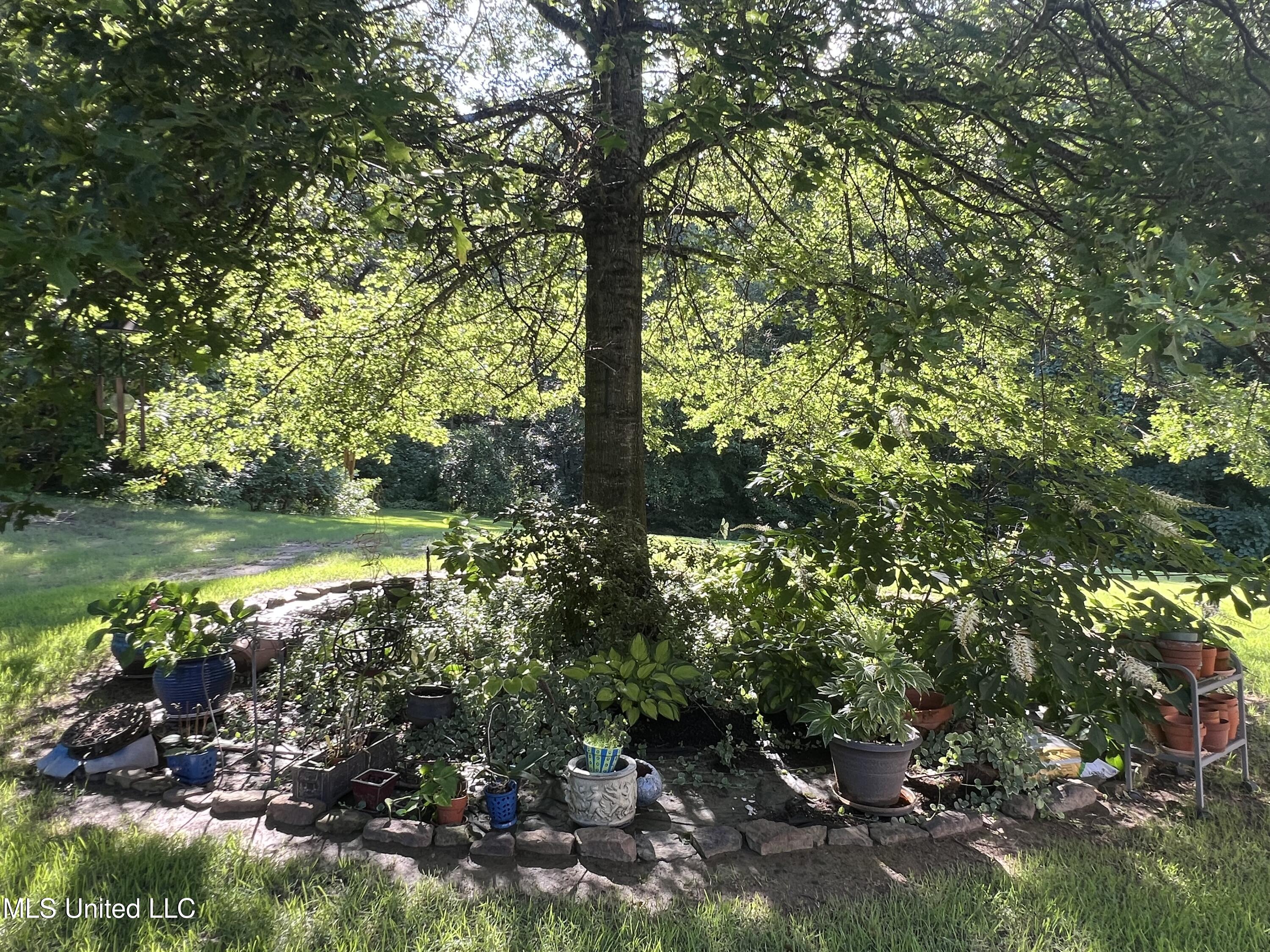193 Crockett Loop Hernando, MS 38632 - Photo 62 of 64 backyard