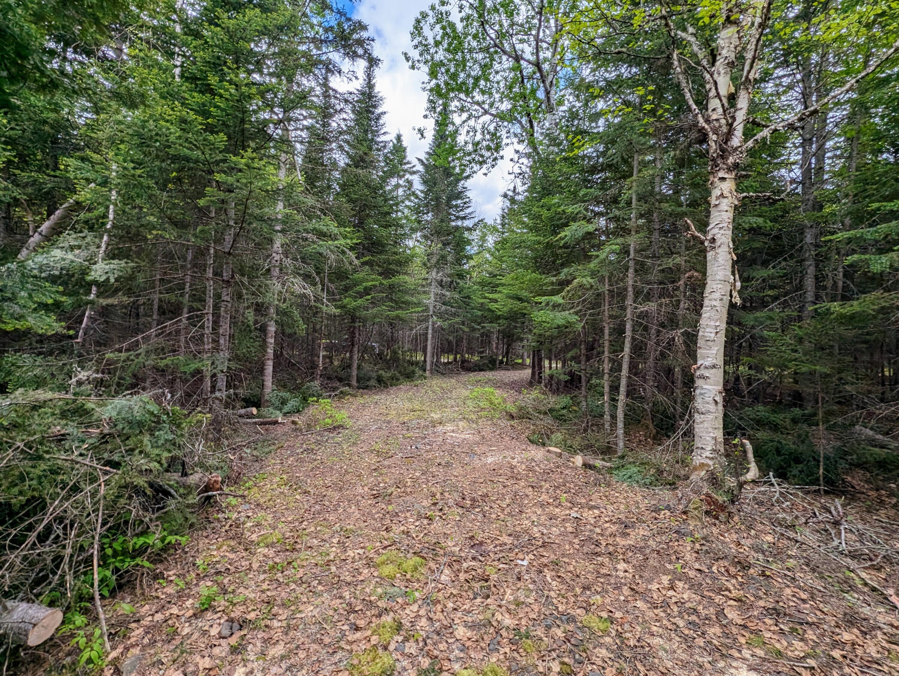 Lot 27-12 Winter Road Rangeley, ME 04970 - Photo 28 of 33 2.6 Acres on Winter Road in Rangeley!