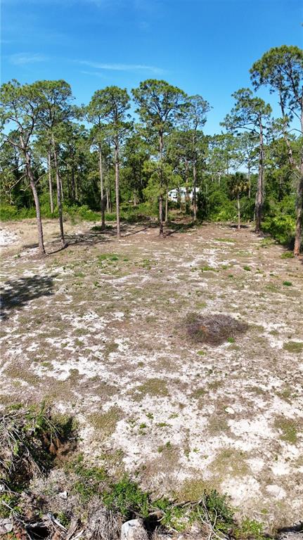 2005 Columbus Avenue Alva, FL 33920 - Photo 7 of 8 a view of outdoor space with city view