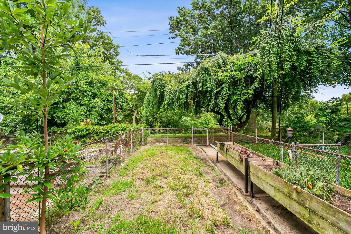 3019 Keswick Road Baltimore, MD 21211 - Photo 26 of 29 a view of a yard with plants and large trees