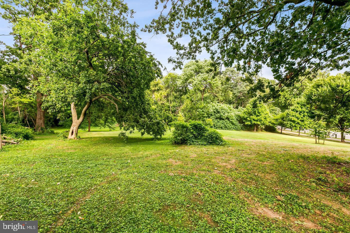 3019 Keswick Road Baltimore, MD 21211 - Photo 29 of 29 a view of a trees with a yard