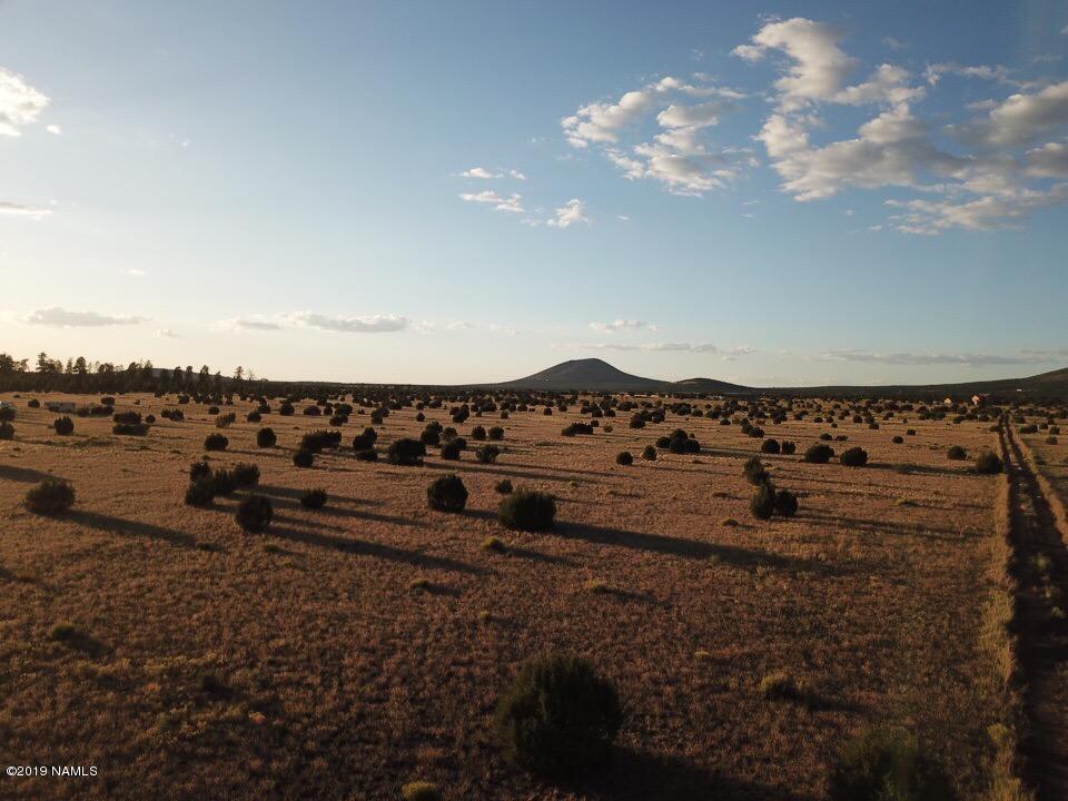 2872 East Spring Valley Road, Unit 2 Williams, AZ 86046 - Photo 7 of 13 IMG_9947