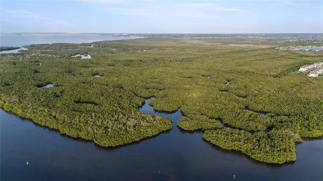 a view of a lake with a mountain