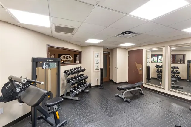 a view of a yard with plants and trees