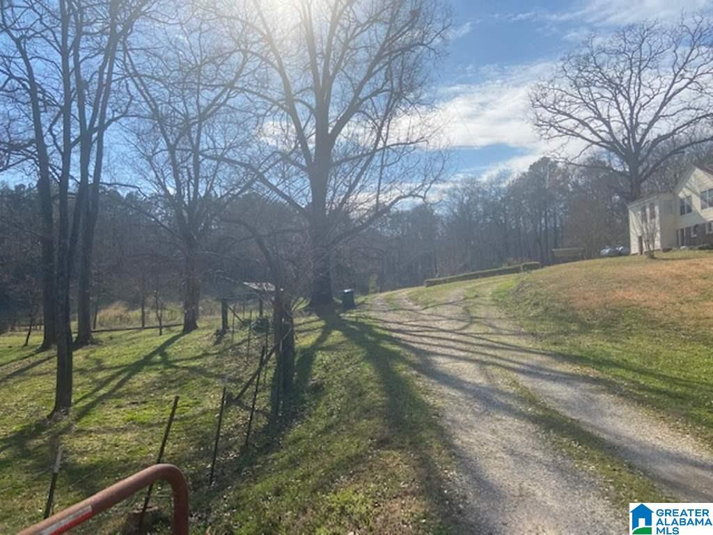 3154 Taylors Mill Road Talladega, AL 35160 - Photo 35 of 46