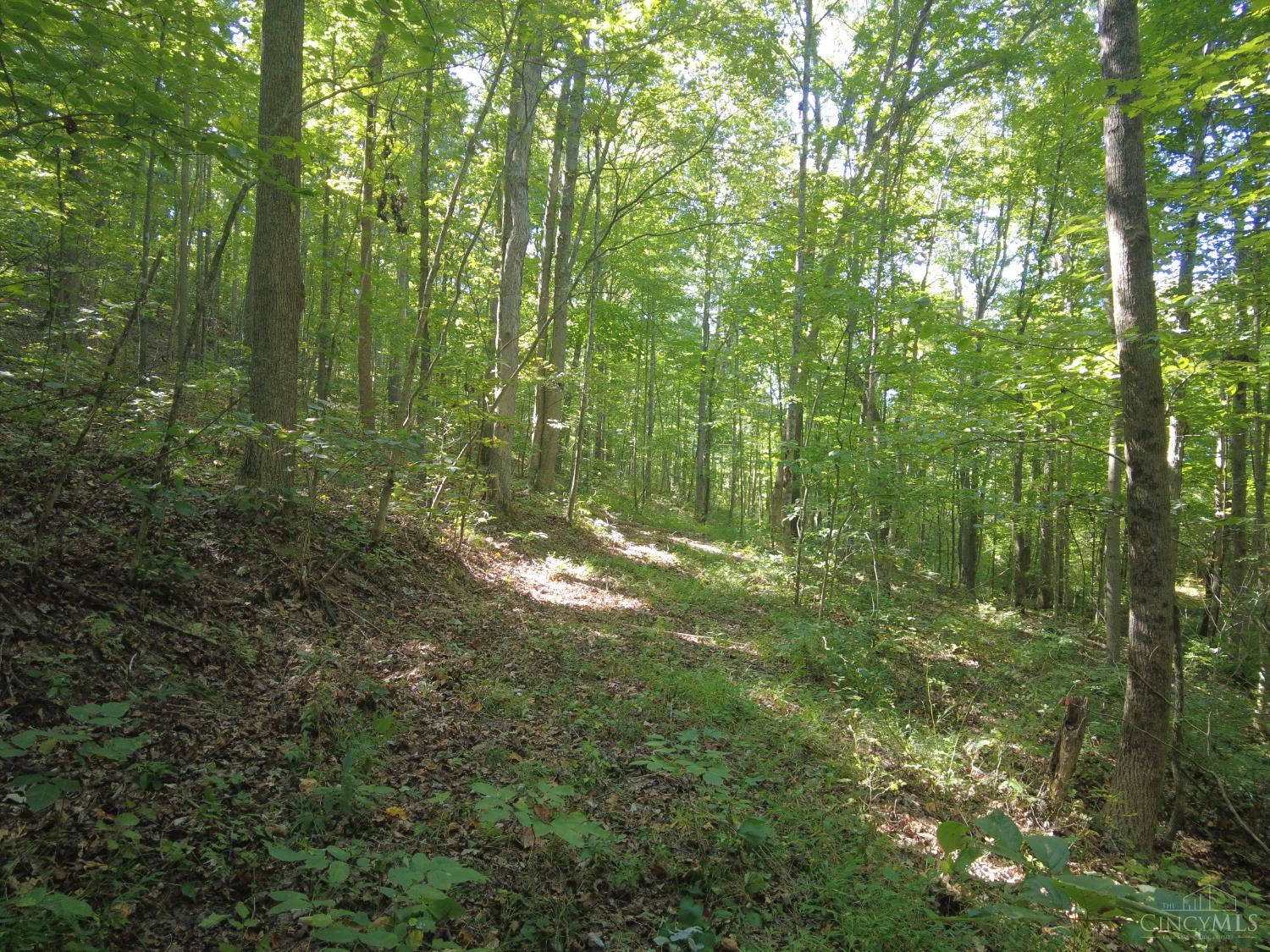 16 Black Hollow Road Peebles, OH 45660 - Photo 13 of 39