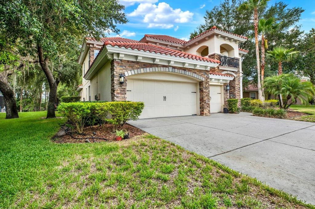 9137 Creedmoor Lane New Port Richey, FL 34654 - Photo 45 of 62