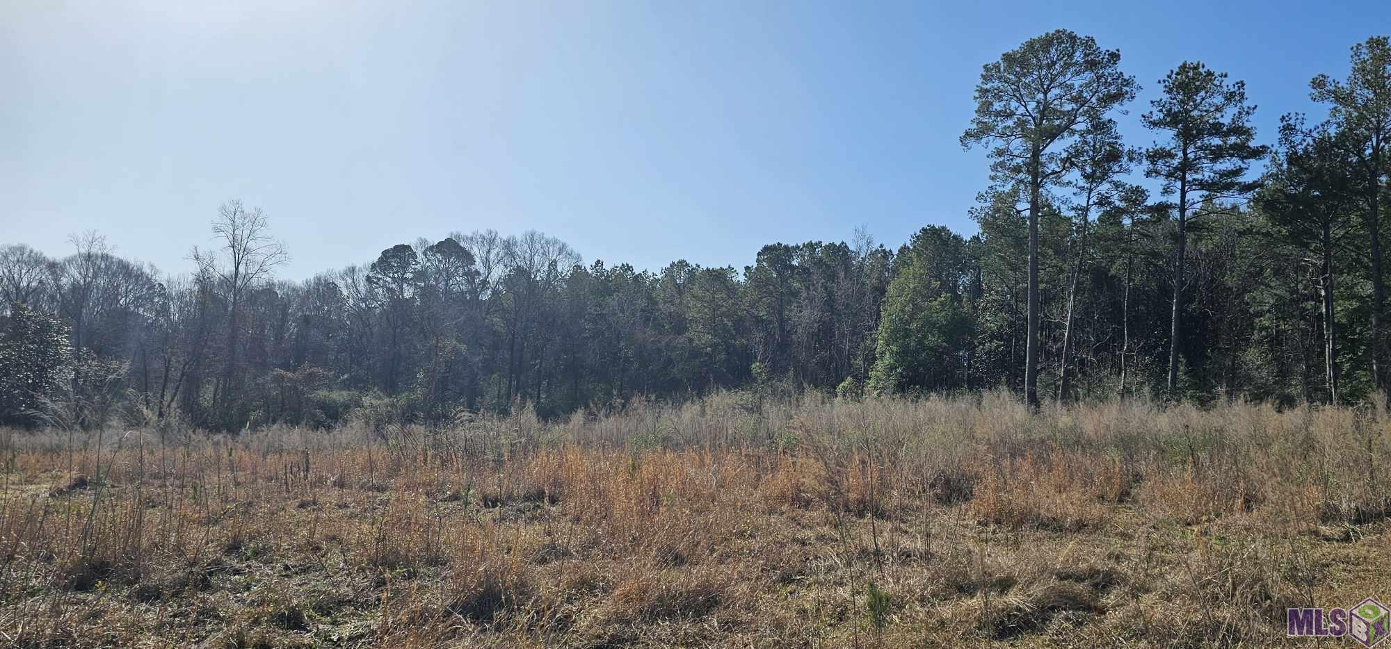 6245 Upper C C Road Clinton, LA 70722 - Photo 1 of 10 Gallery Image 1