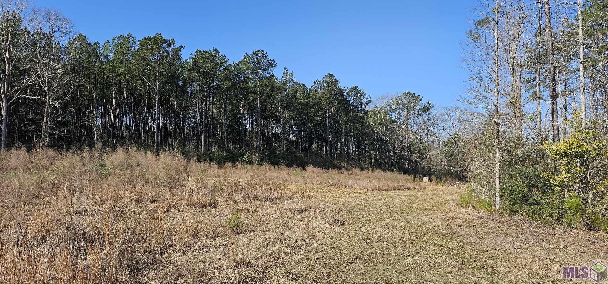 6245 Upper C C Road Clinton, LA 70722 - Photo 2 of 10 Gallery Image 2