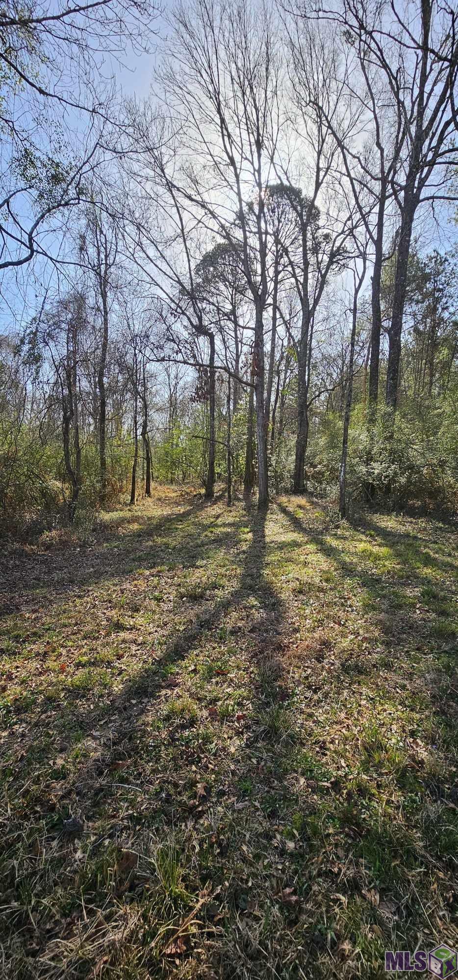6245 Upper C C Road Clinton, LA 70722 - Photo 3 of 10 Gallery Image 3
