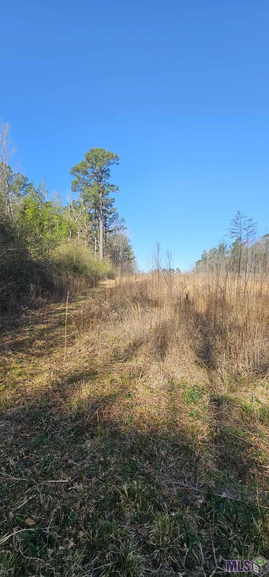 6245 Upper C C Road Clinton, LA 70722 - Photo 5 of 10 Gallery Image 5