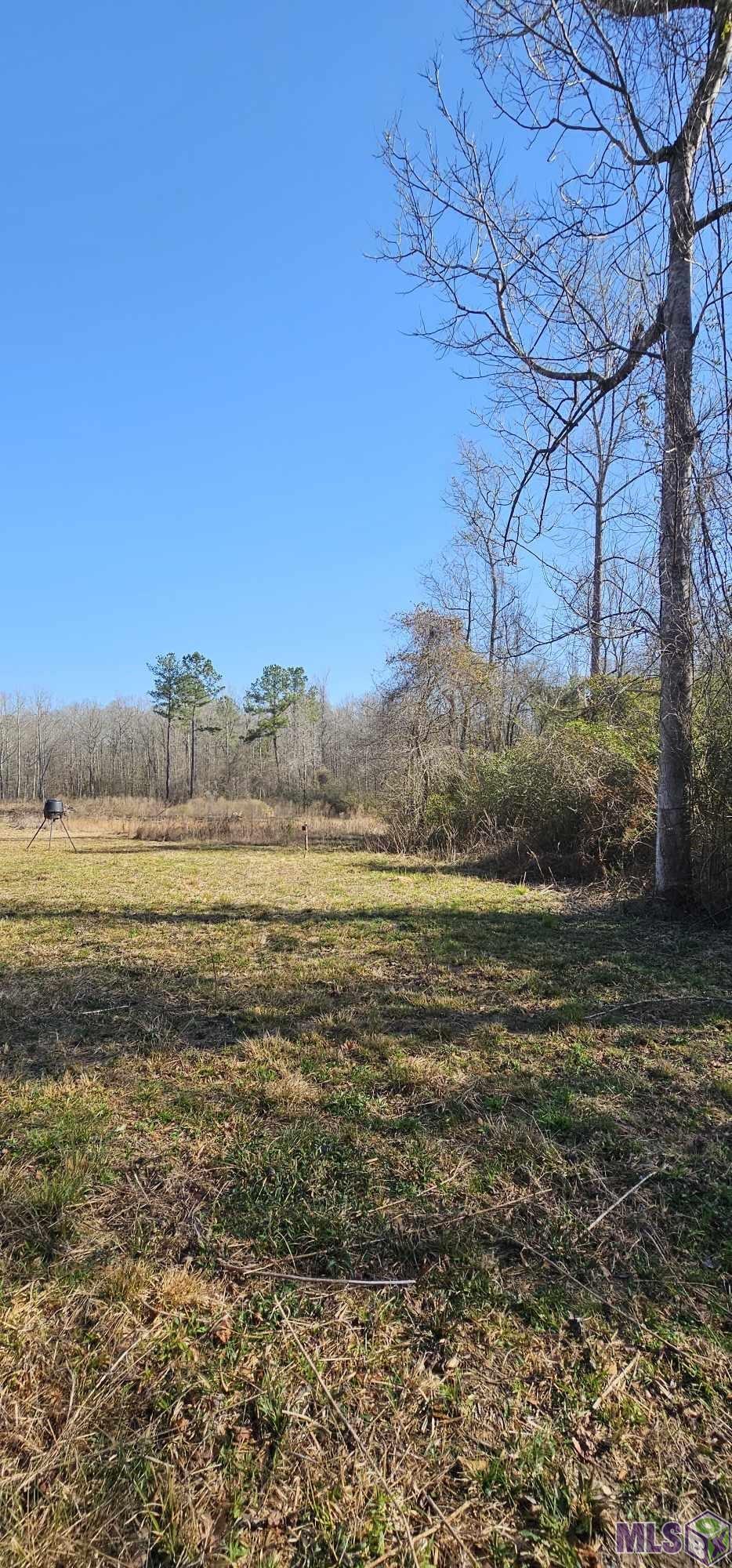 6245 Upper C C Road Clinton, LA 70722 - Photo 6 of 10 Gallery Image 6