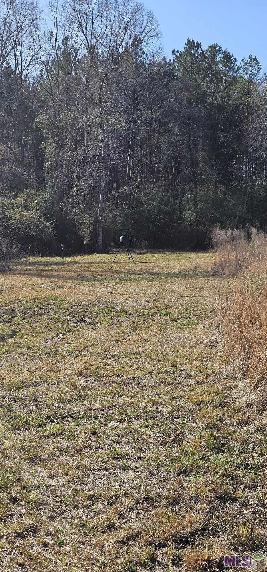 6245 Upper C C Road Clinton, LA 70722 - Photo 8 of 10 Gallery Image 8