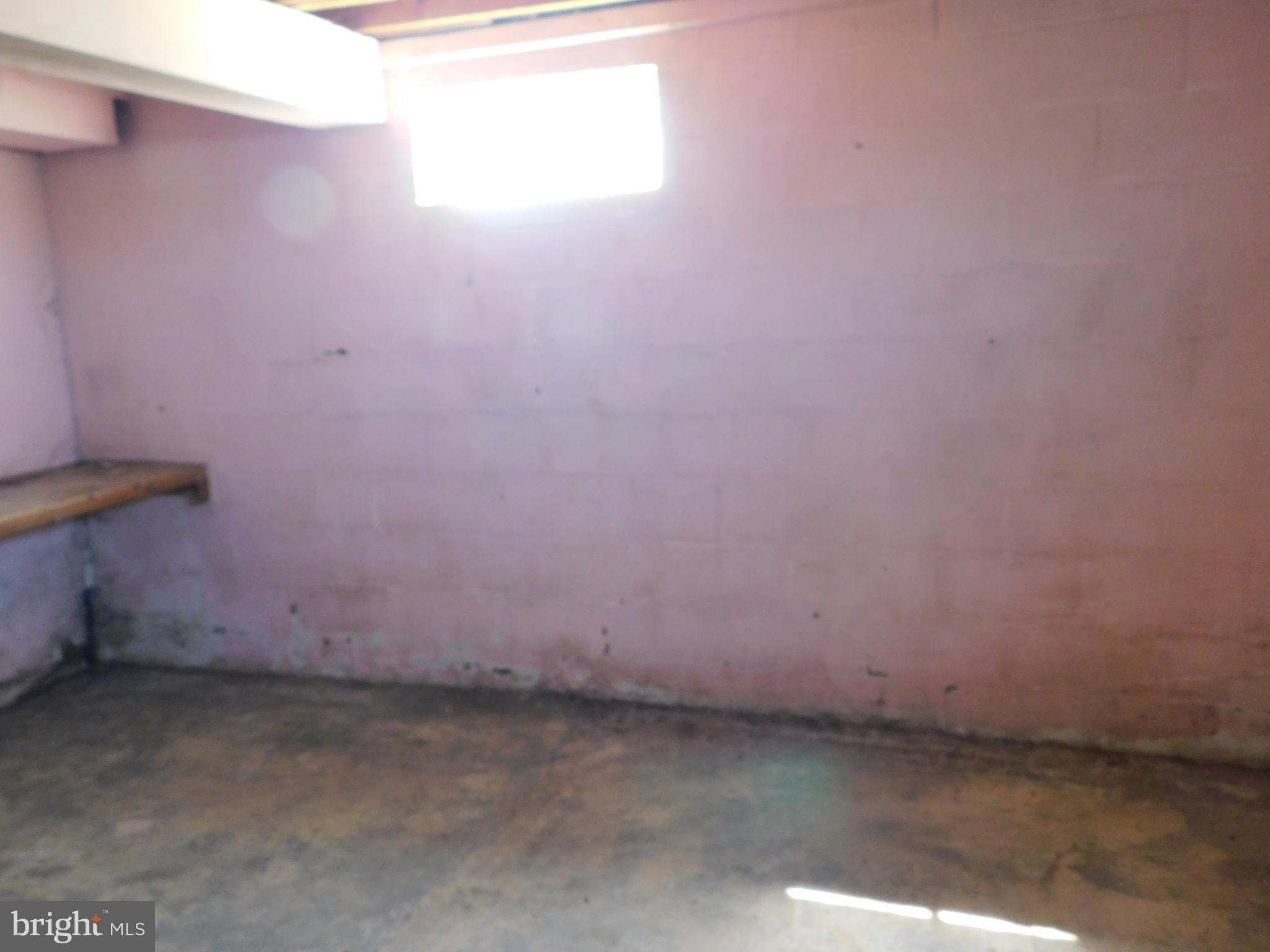 398 Shady Grove Lane Charles Town, WV 25414 - Photo 20 of 25 Basement Storage