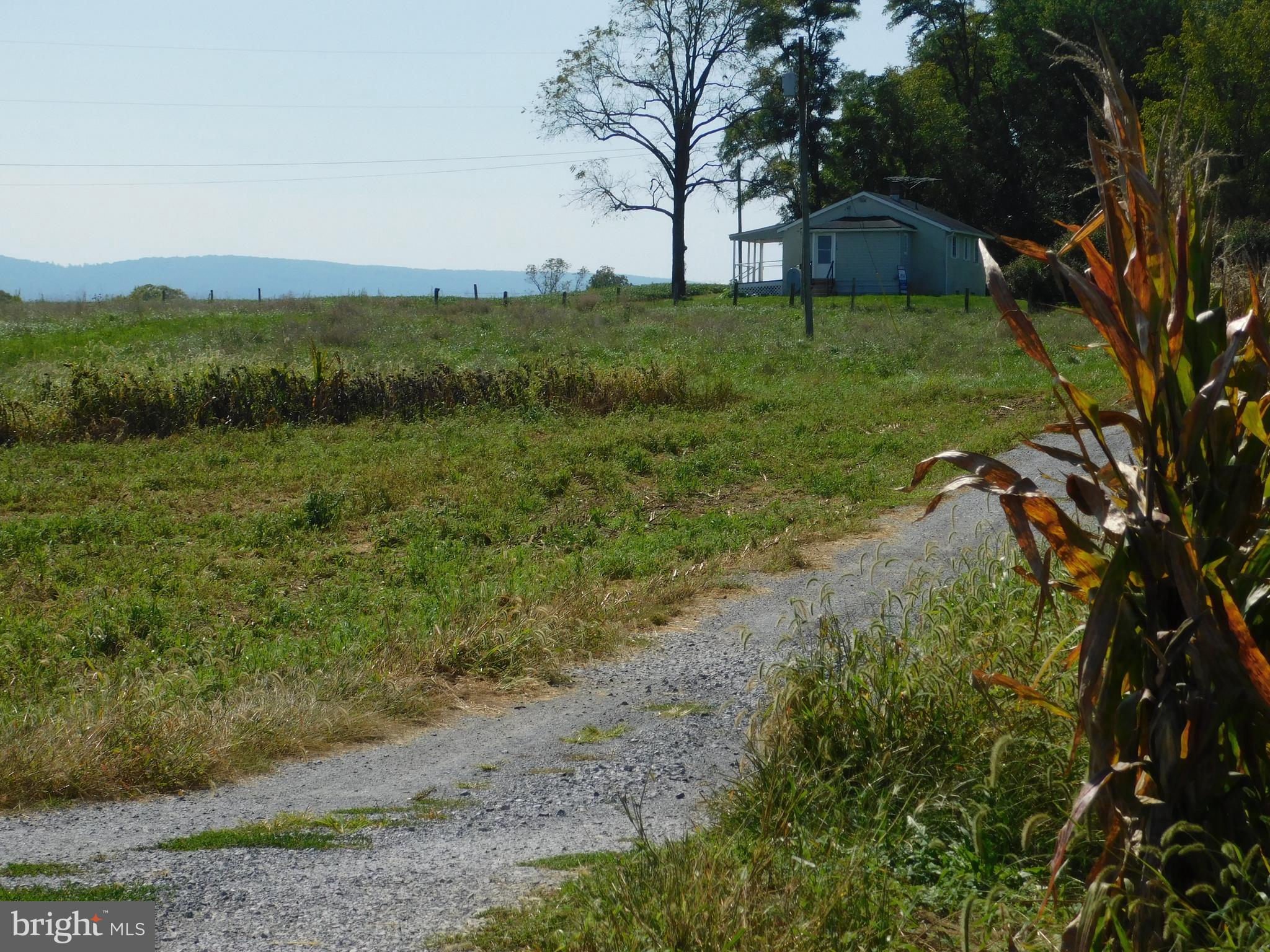398 Shady Grove Lane Charles Town, WV 25414 - Photo 24 of 25 Driveway / View