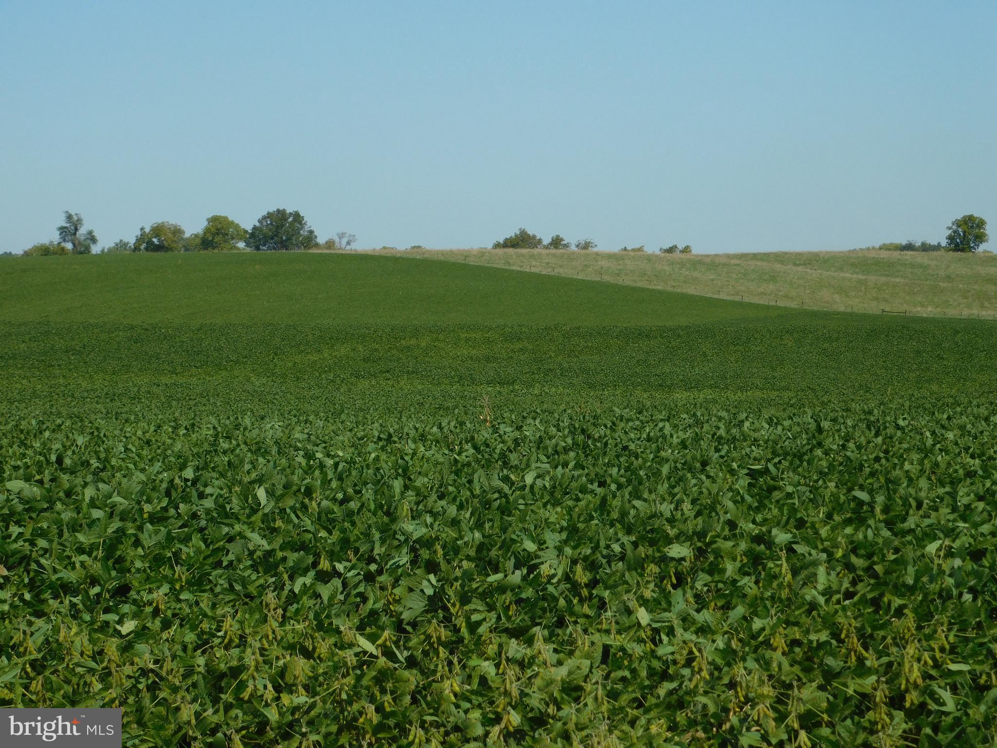 398 Shady Grove Lane Charles Town, WV 25414 - Photo 25 of 25 View