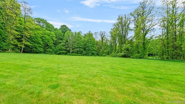 a view of a grassy field with trees