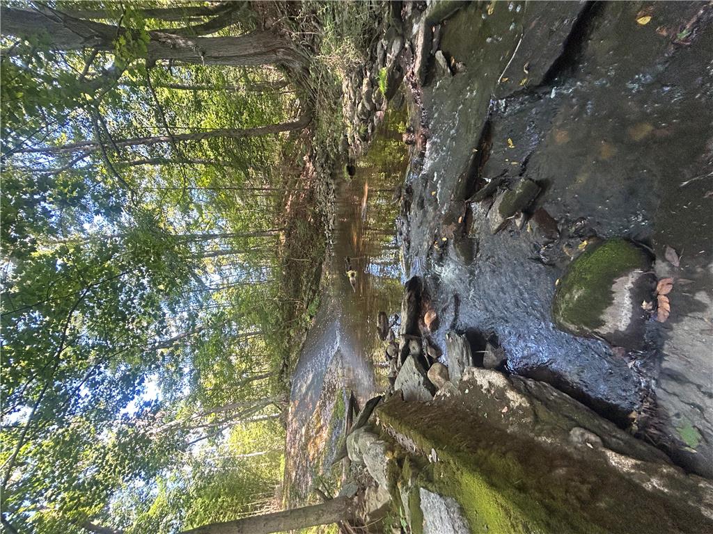 7 Allegheny Road Mount Bethel, PA 18343 - Photo 25 of 71 Mature trees shade a gentle stream flowing across rocky terrain on this wooded property.