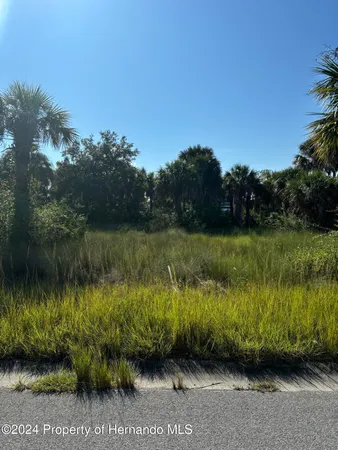 a view of a lake with a big yard