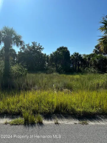 a view of a lake with a big yard