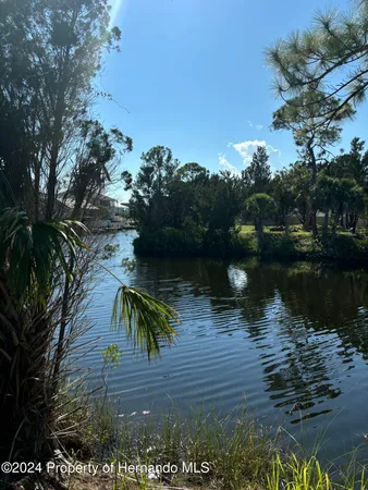 a view of a lake from a yard