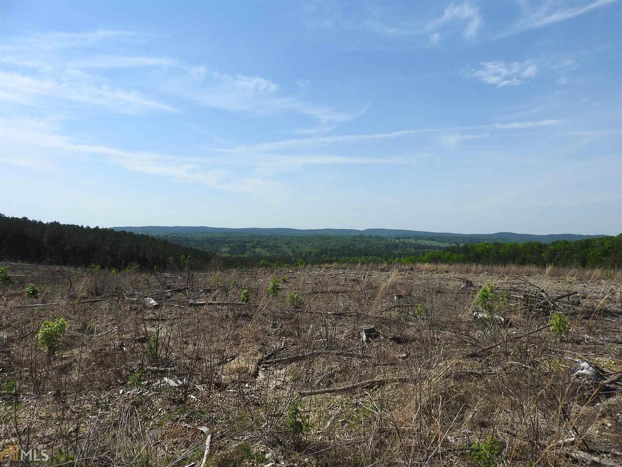 0 Griffin Road Northwest, Unit 5007 Cartersville, GA 30120 - Photo 17 of 27 a view of lake with mountain in background