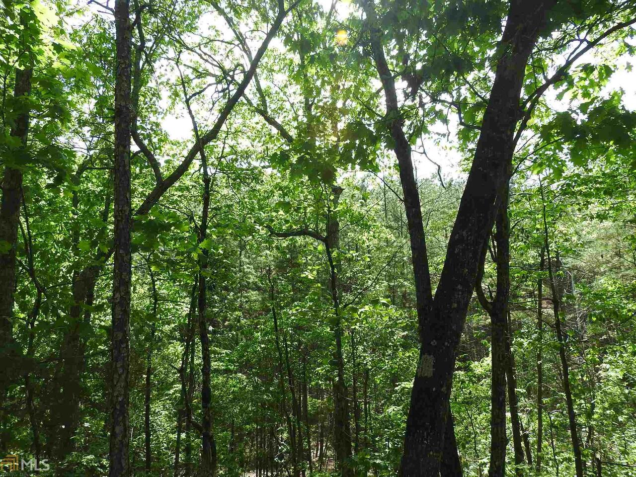 0 Griffin Road Northwest, Unit 5007 Cartersville, GA 30120 - Photo 21 of 27 a view of a lush green forest
