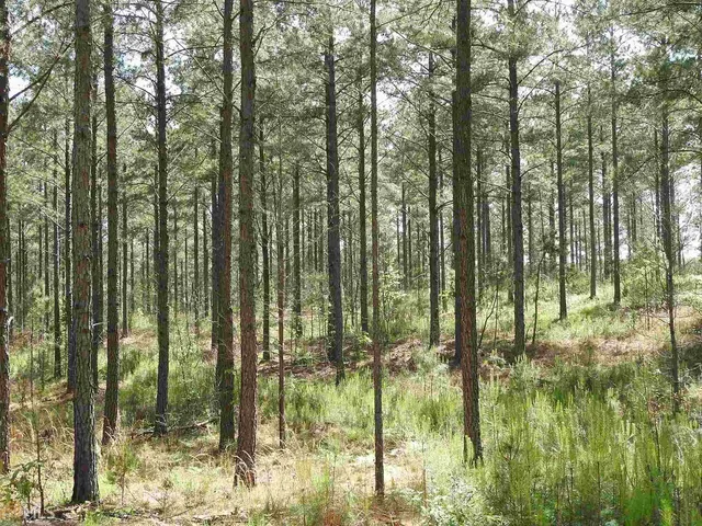 $9,069,500 | 0 Griffin Road Northwest, Unit 5007, Cartersville, GA 30120