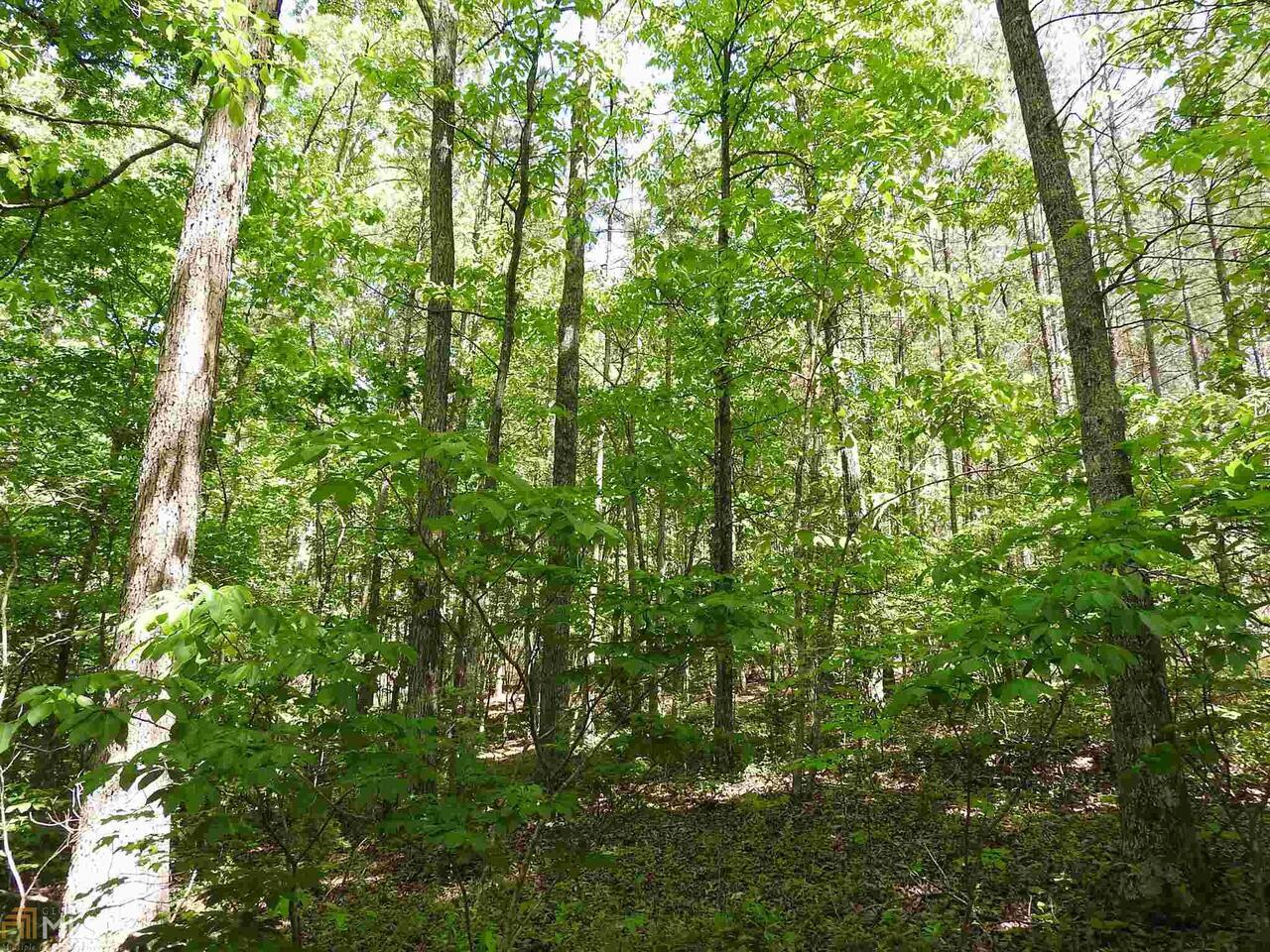0 Griffin Road Northwest, Unit 5007 Cartersville, GA 30120 - Photo 6 of 27 a view of a lush green forest