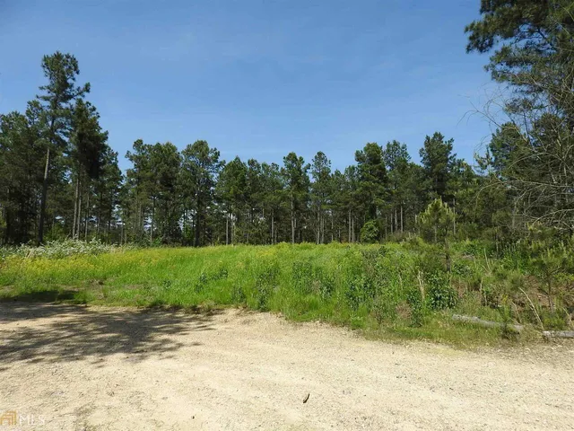 a view of a field with trees in the background