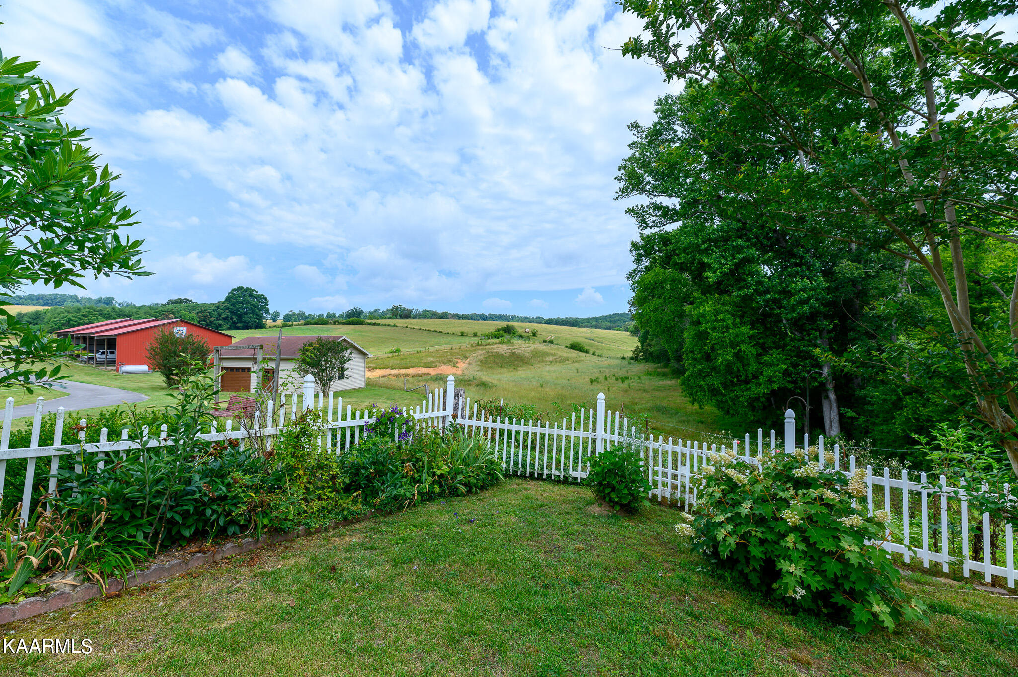30158 Pond Creek Road Philadelphia, TN 37846 - Photo 3 of 48 Backyard view off back